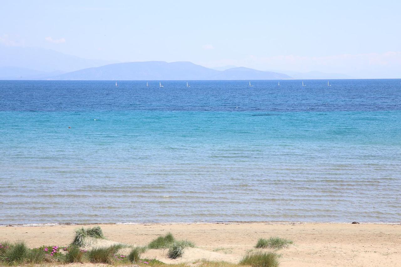 Nami Sea View Near Airport Apartment أرتيميدا المظهر الخارجي الصورة
